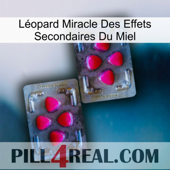 Léopard Miracle Des Effets Secondaires Du Miel 15.jpg